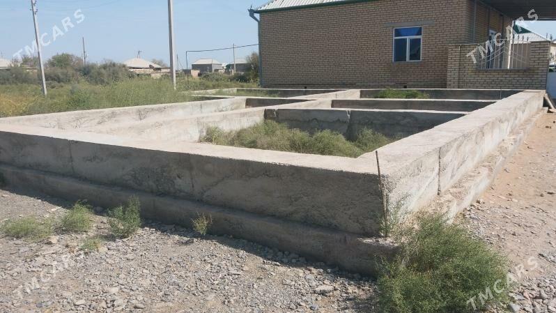 mellek yeri - Babadaýhan - img 5