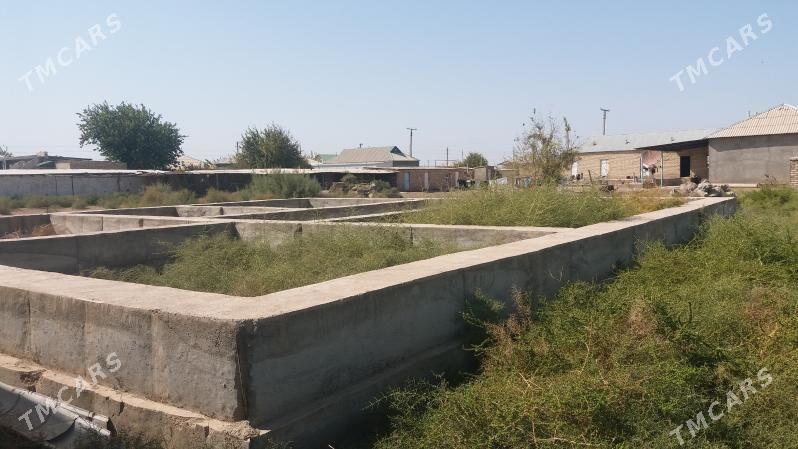 mellek yeri - Babadaýhan - img 7