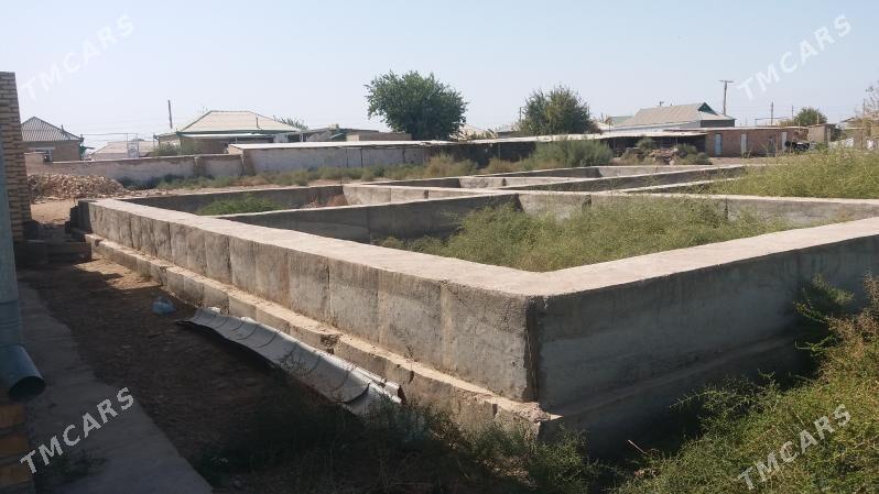 mellek yeri - Babadaýhan - img 6