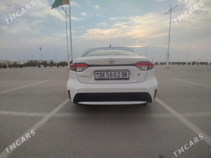 Toyota Corolla 2021 - 255 000 TMT - Балканабат - img 2