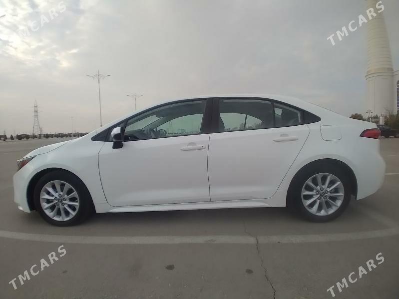 Toyota Corolla 2021 - 255 000 TMT - Балканабат - img 3
