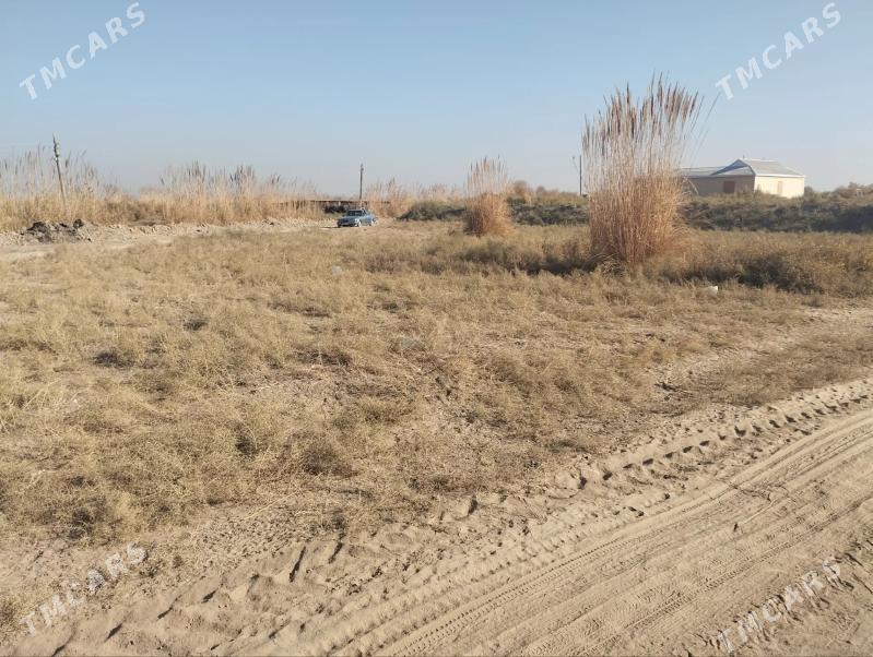 Satlyk Mellek 8 Sotuk - Sakarçäge - img 2