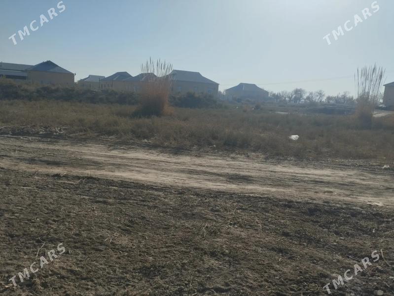 Satlyk Mellek 8 Sotuk - Sakarçäge - img 4