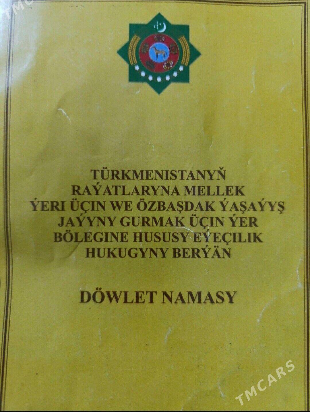 Satlyk Mellek 8 Sotuk - Sakarçäge - img 8