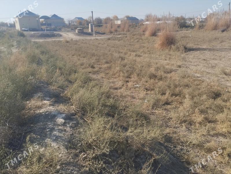 Satlyk Mellek 8 Sotuk - Sakarçäge - img 5