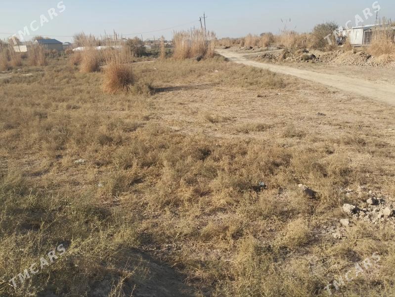 Satlyk Mellek 8 Sotuk - Sakarçäge - img 3