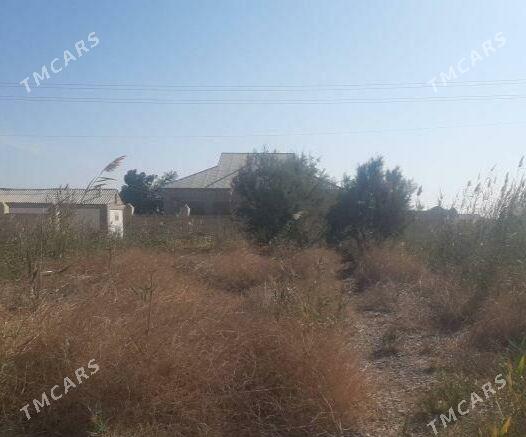 Satlyk Mellek 9 Sotuk - Sakarçäge - img 2