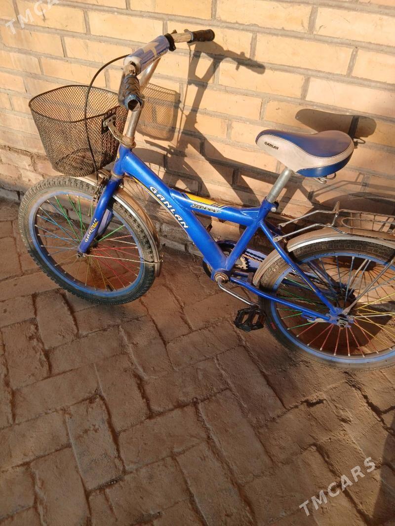 Tigir (welesewet) - Халач - img 2