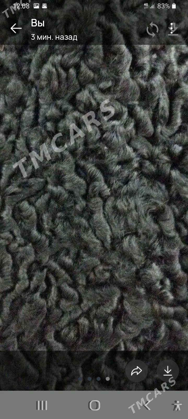 каракулевая шуба - Aşgabat - img 2