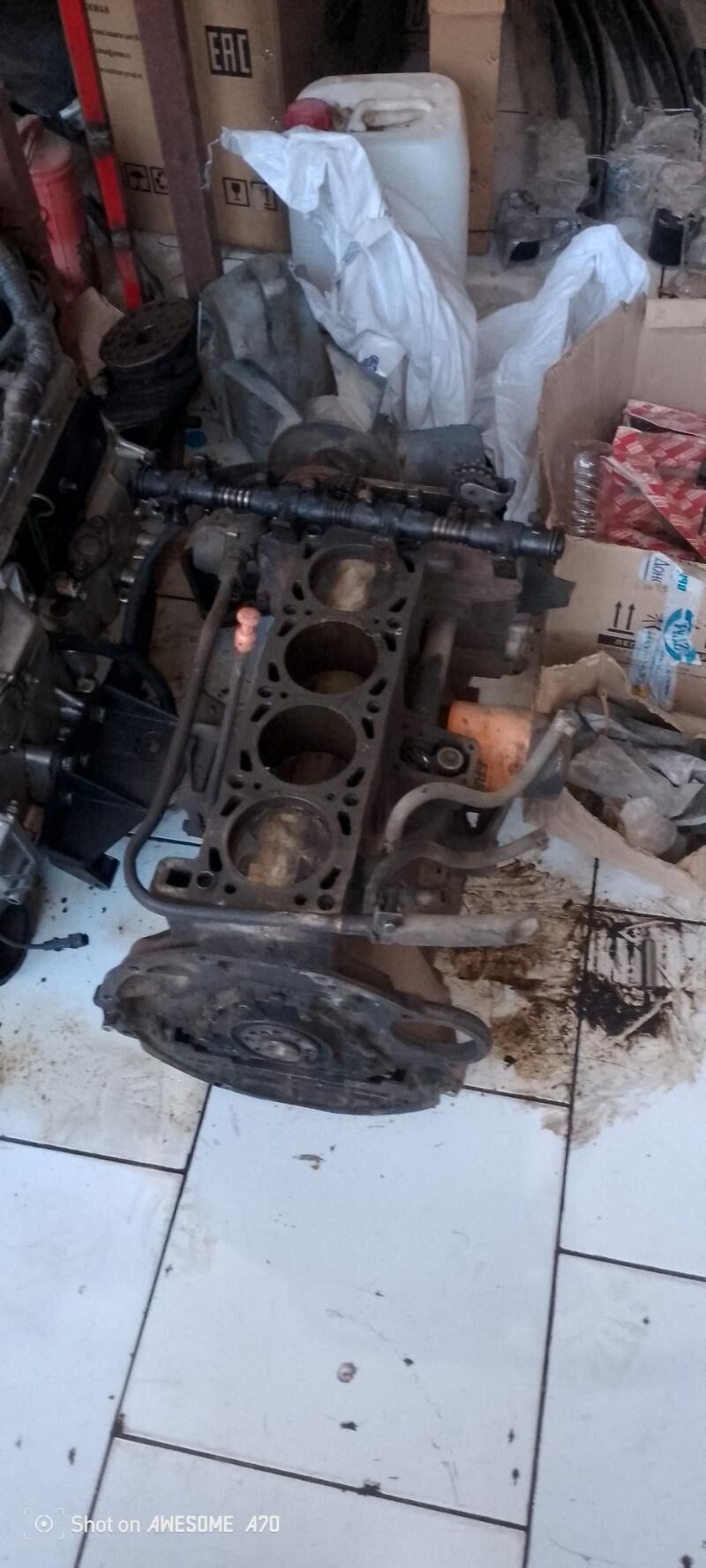 Atiyaclyk saylary gazel 80 TMT - Мары - img 4