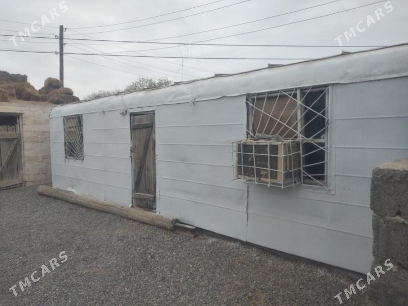 Wagon - Bereket - img 2