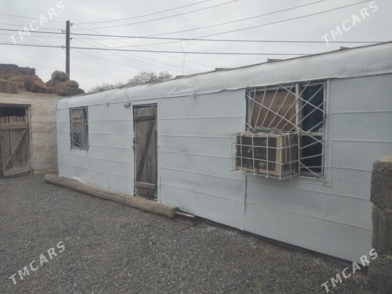 Wagon - Bereket - img 1