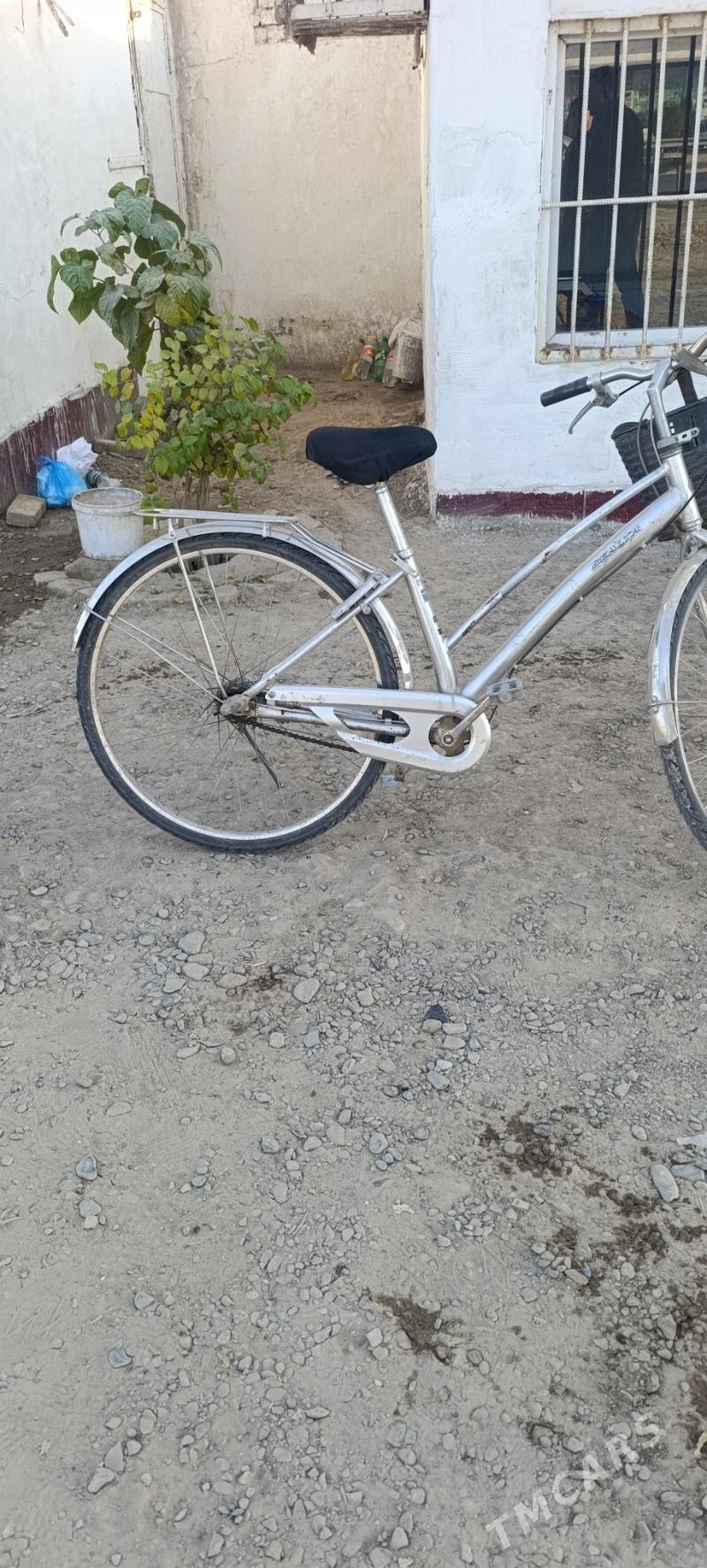 welik - Mary - img 7