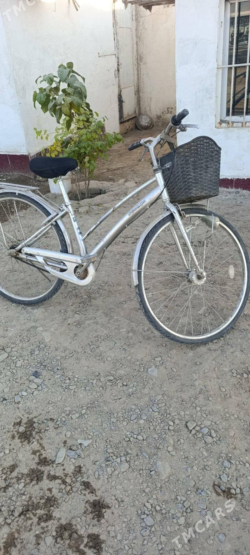 welik - Mary - img 6