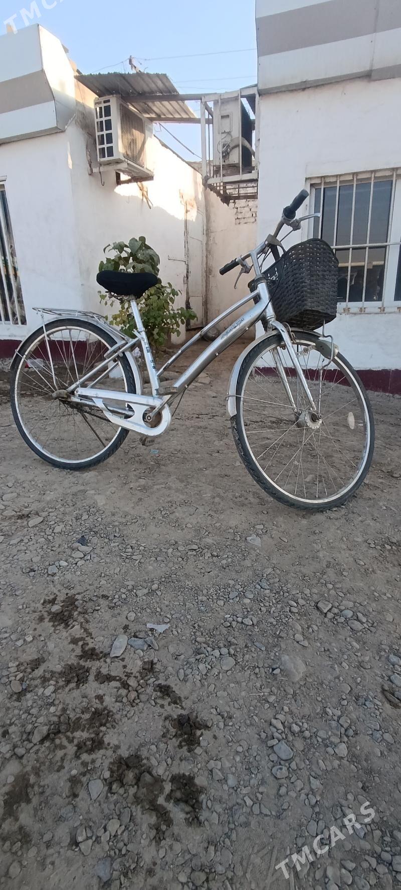 welik - Mary - img 4