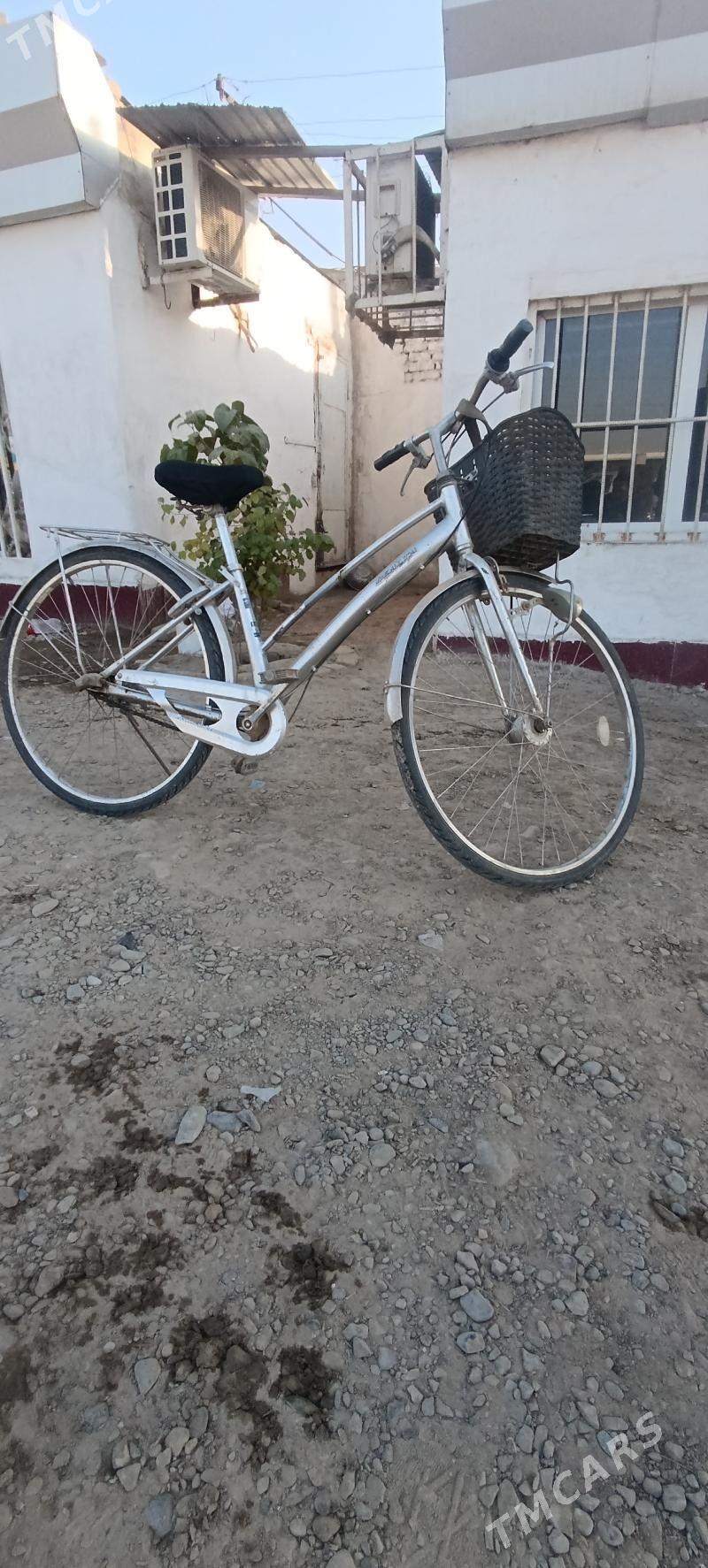 welik - Mary - img 3