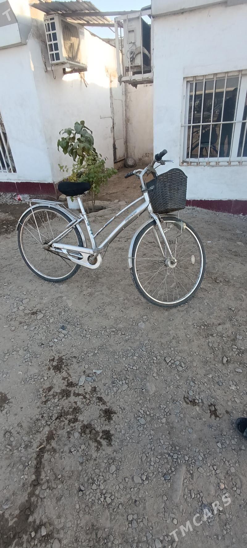 welik - Mary - img 5