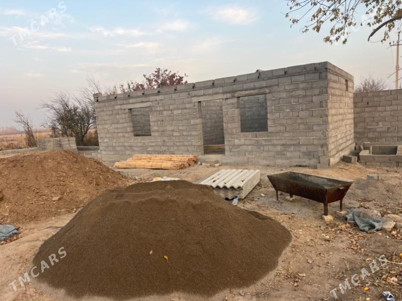 Daça  дача - Mary - img 10