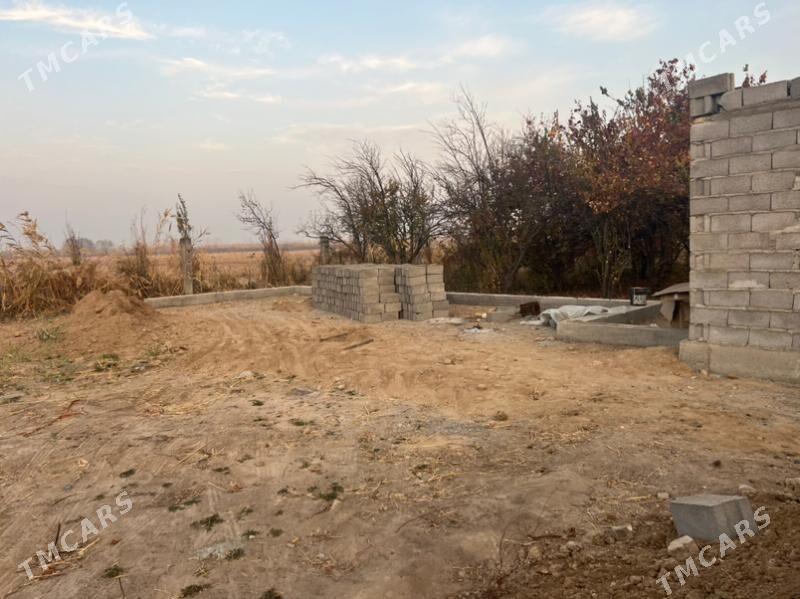 Daça  дача - Mary - img 8