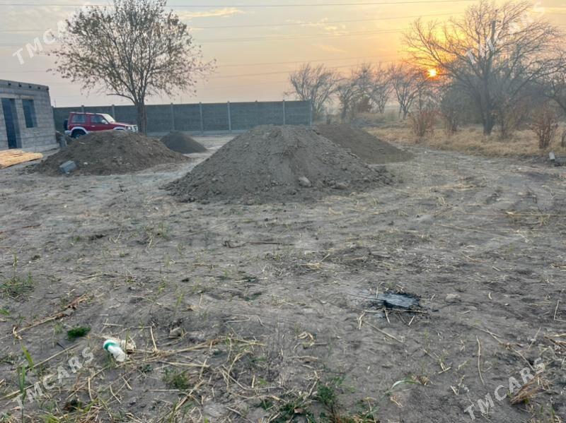 Daça  дача - Mary - img 7