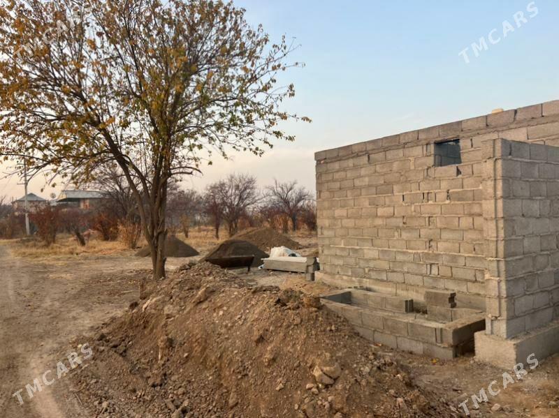 Daça  дача - Mary - img 2