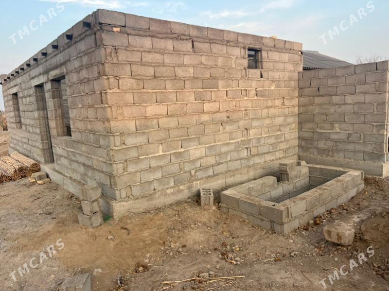 Daça  дача - Mary - img 3