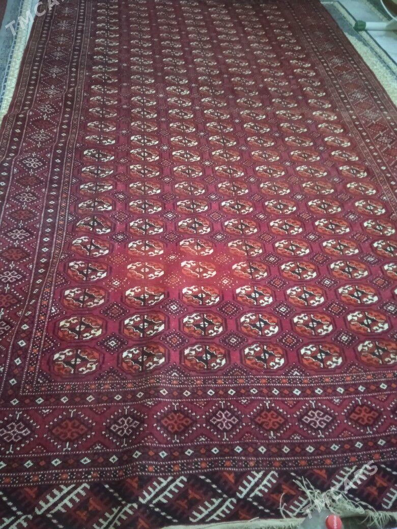 Tükmen haly - Balkanabat - img 2