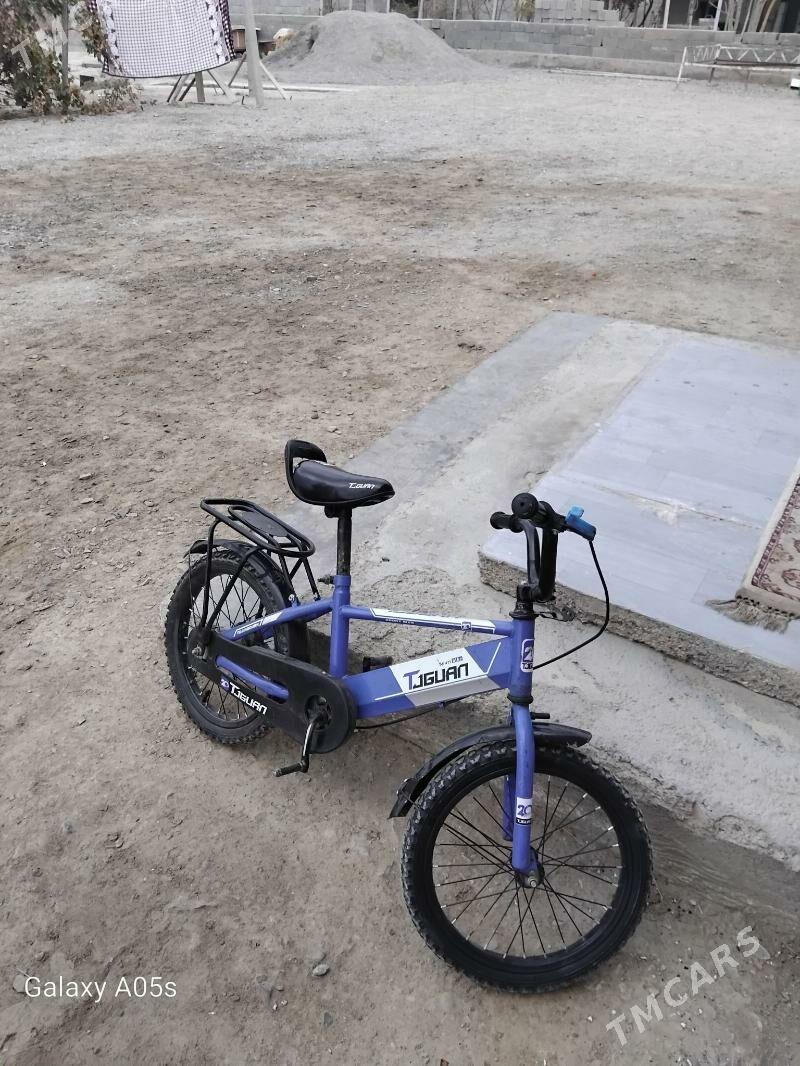 TİGİR - Bäherden - img 2