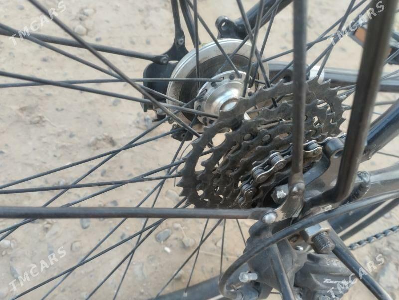 welisepet 27 - Mary - img 5