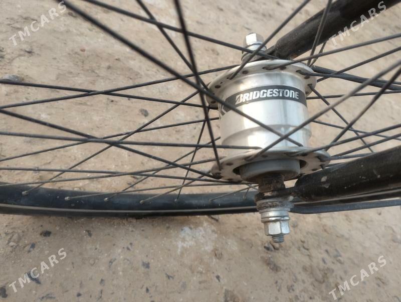 welisepet 27 - Mary - img 4