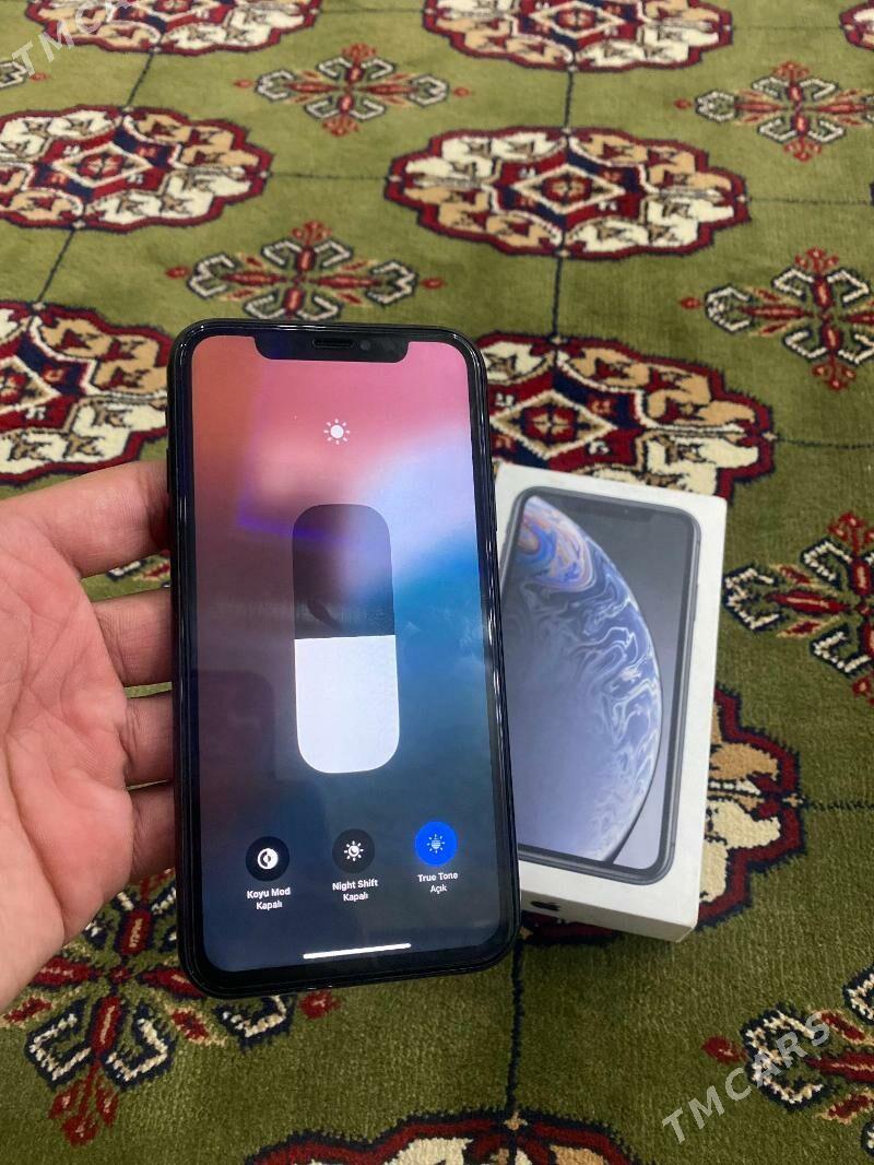 ip Xr 64 - Mary - img 3