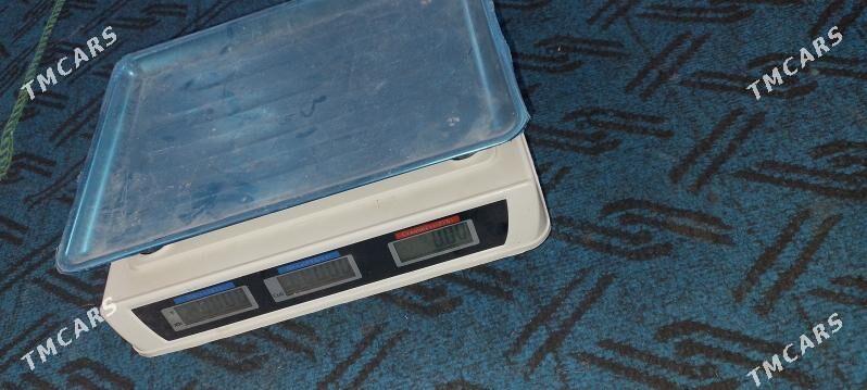 terezi - Dänew - img 1