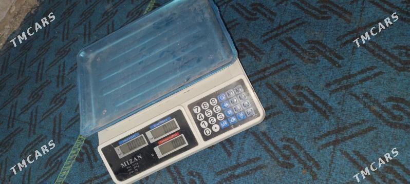 terezi - Dänew - img 2