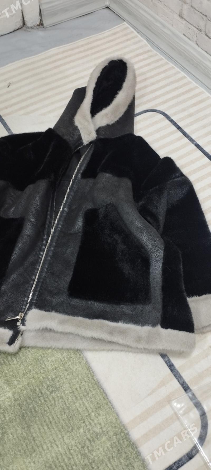 shuba - Ашхабад - img 2