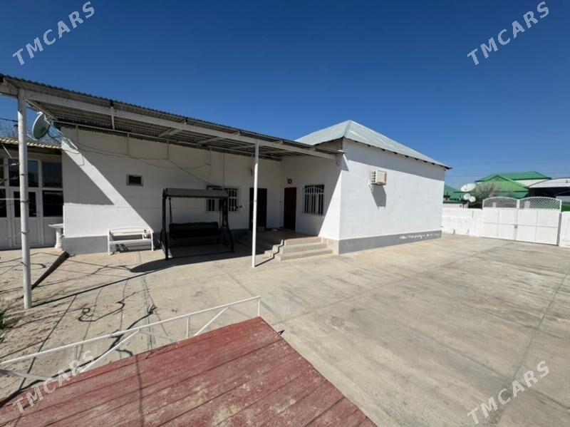 Anew magtymguly - Ak bugdaý etraby - img 8