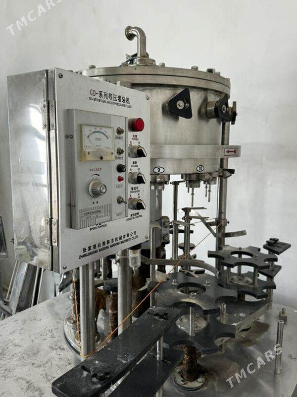 Zawod taze - Mary - img 3