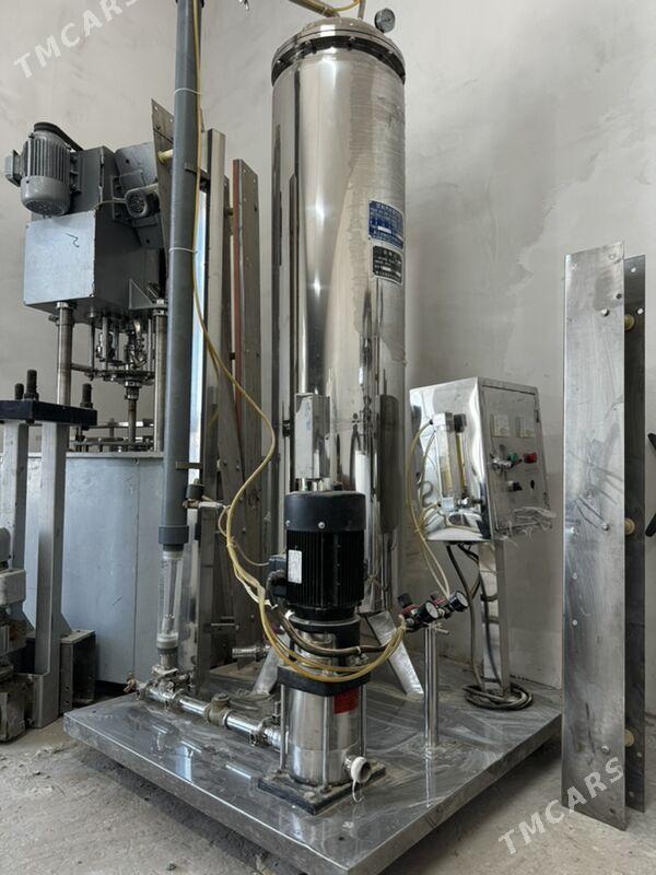 Zawod taze - Mary - img 4