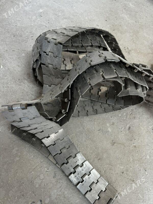 Zawod taze - Mary - img 6