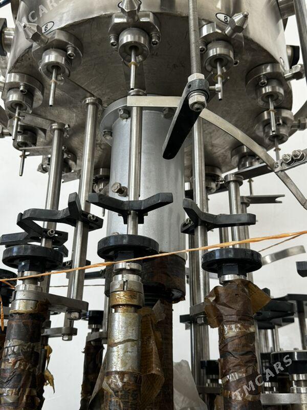 Zawod taze - Mary - img 2