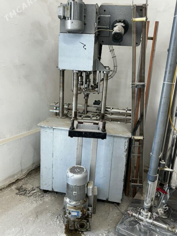 Zawod taze - Mary - img 7