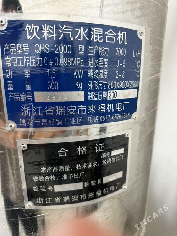 Zawod taze - Mary - img 5