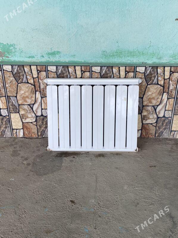 ataplenya - Kaka - img 3