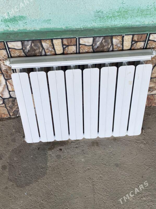 ataplenya - Kaka - img 1