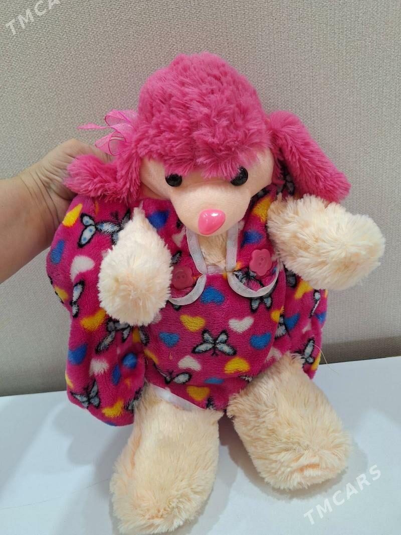 caga sumocka - Çoganly - img 5