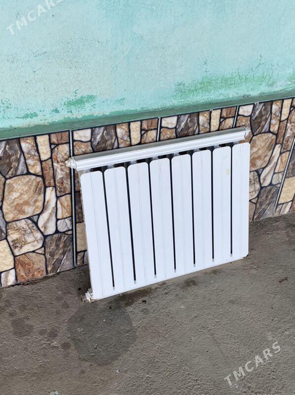 ataplenya - Kaka - img 2