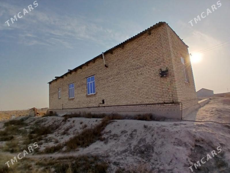 Satlyk jay - Гарабекевюл - img 8