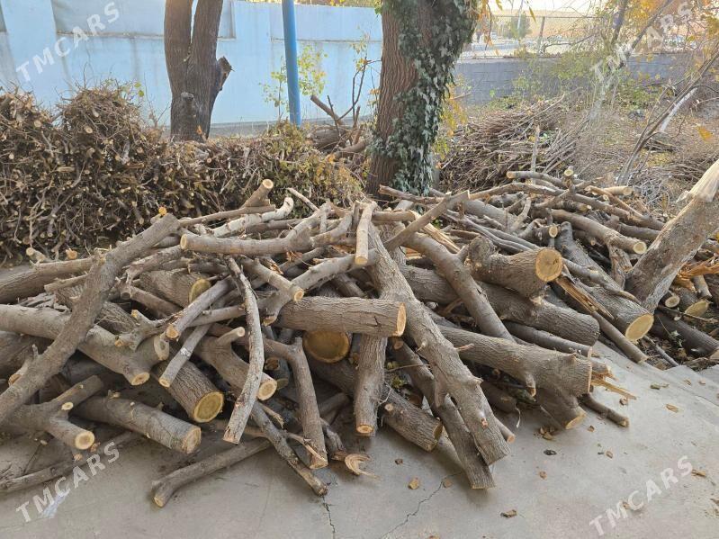 Tut agajyndan odun - Gökje - img 2