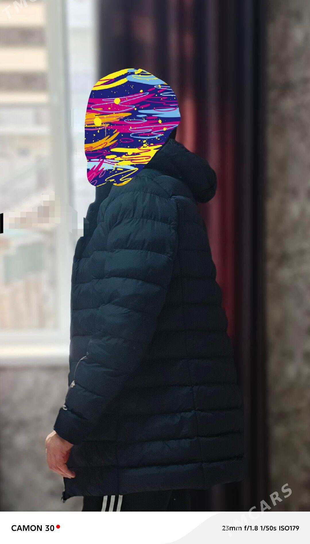 kurtko - Туркменбаши - img 4