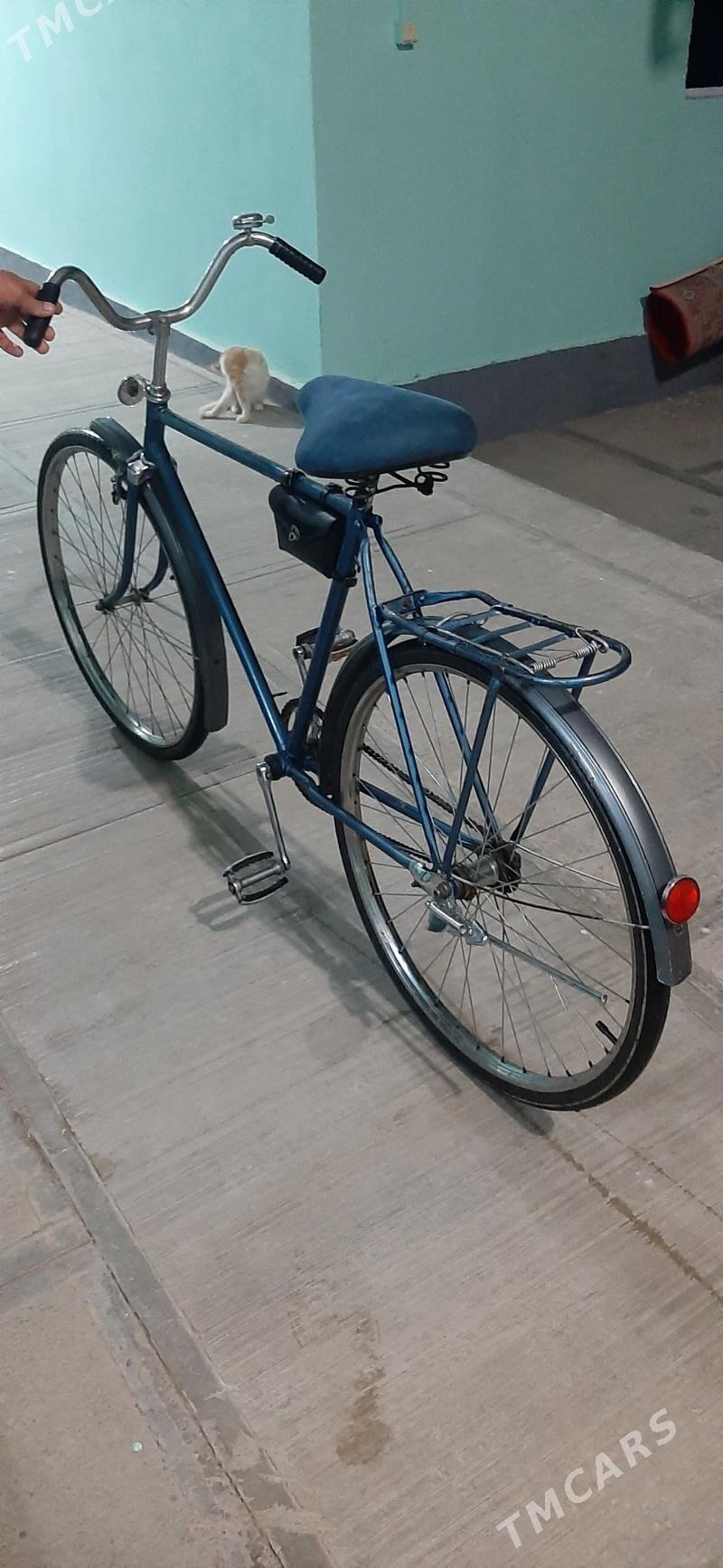 Ural tigir Rossiýa - Яшлык - img 6