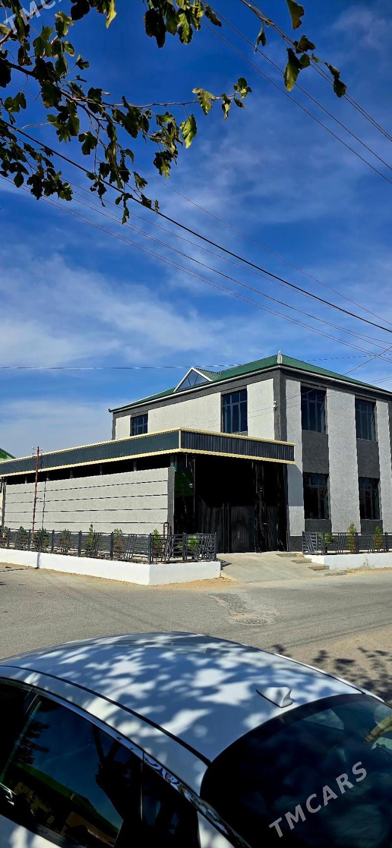 Çoganly Kotez чоганлы - Ашхабад - img 1